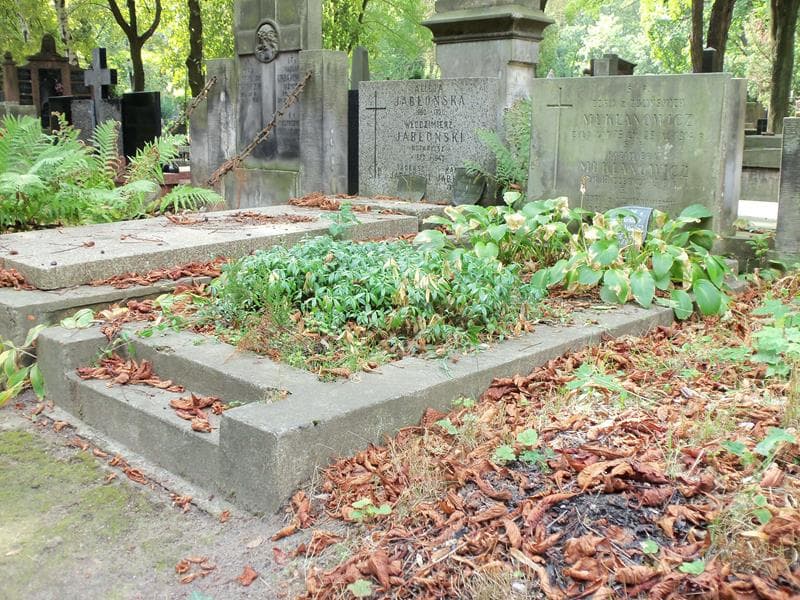 Zdjęcie grobu Zofia Niedzwiedzka (1)