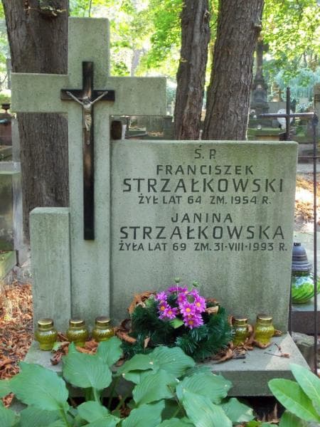Zdjęcie grobu Franciszek Strzałkowski (2)