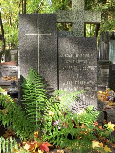 Zdjęcie grobu Halina Stanisława Czerniewska (2)