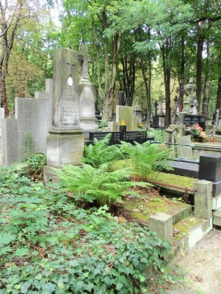 Zdjęcie grobu Tadeusz Krysiński (1)
