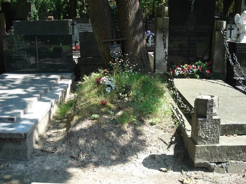 Zdjęcie grobu: Tadeusz Mikułowski