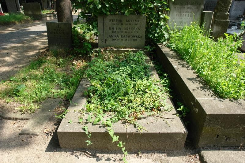 Zdjęcie grobu Emilia Krzeska (1)