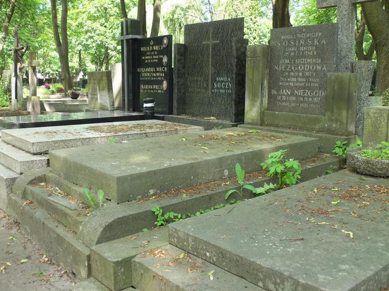 Zdjęcie grobu Irena Niezgodowa (1)