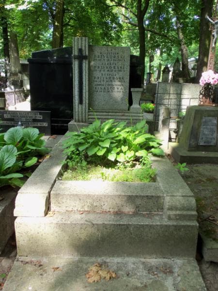 Zdjęcie grobu: Henryk Przykorski