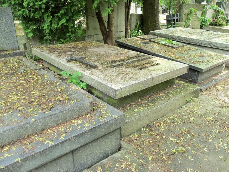 Zdjęcie grobu Adam Trawkowski (1)
