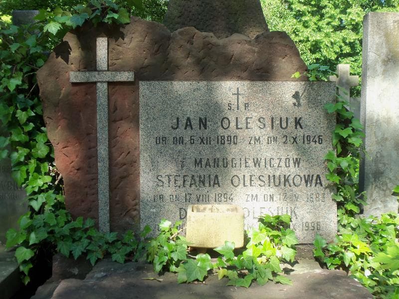 Zdjęcie grobu Stefania Olesiukowa (2)