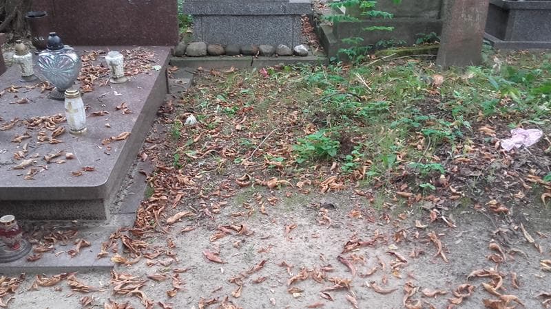 Zdjęcie grobu: Pole Grobowe