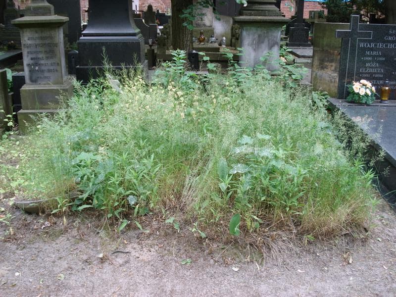 Zdjęcie grobu Pole Grobowe (1)