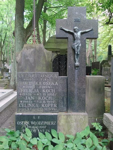 Zdjęcie grobu Jan Koch (2)