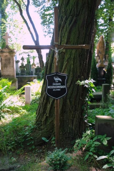 Zdjęcie grobu Eleonora Kozłowska (2)
