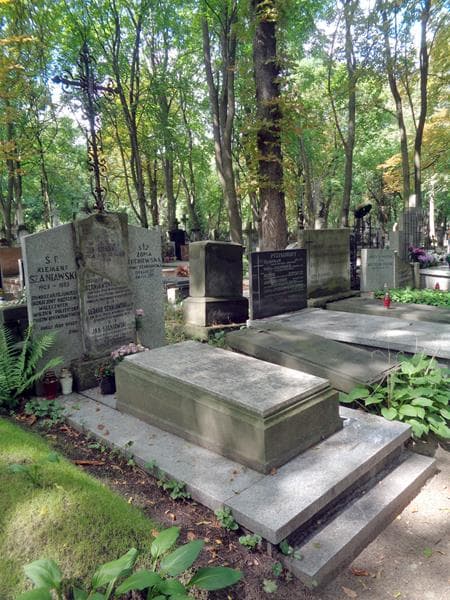 Zdjęcie grobu: Aleksander Junosza Szaniawski