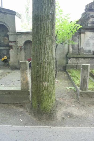 Zdjęcie grobu: Pole Grobowe