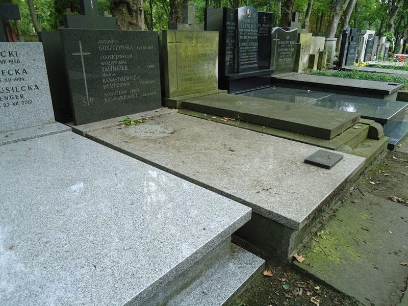 Zdjęcie grobu Maria Banaszkiewicz-Hertzowa (1)