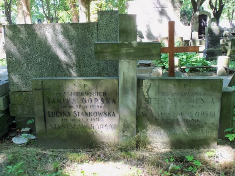 Zdjęcie grobu Władysław Górski (2)
