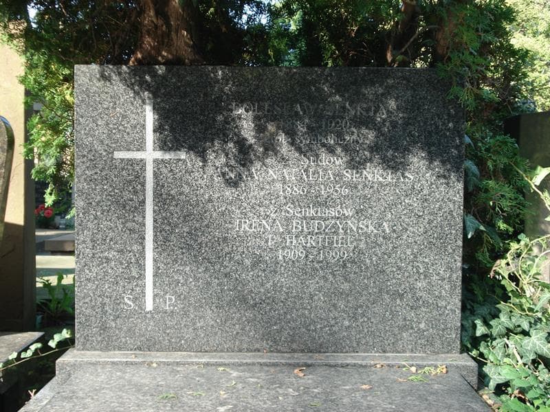 Zdjęcie grobu Irena Budzyńska (2)