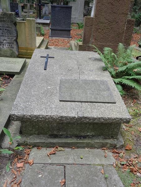 Zdjęcie grobu Władysław Osica (1)