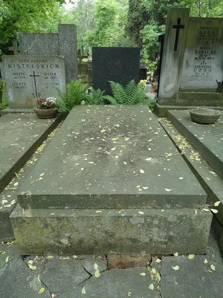 Zdjęcie grobu: Bronisław Puchalski