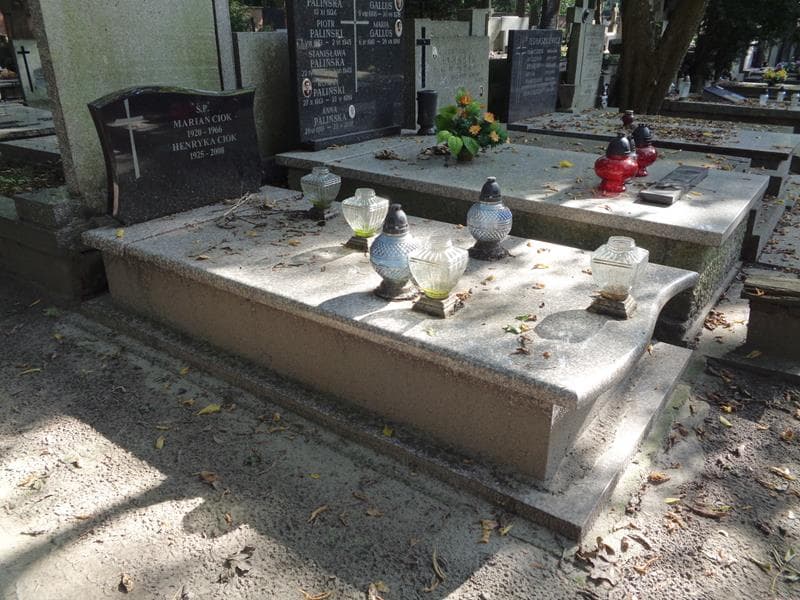 Zdjęcie grobu: Henryka Ciok