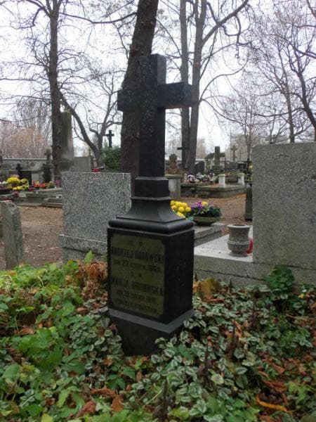 Zdjęcie grobu Marja Borowska (2)