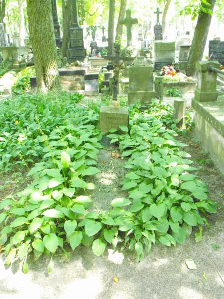Zdjęcie grobu: Marya Anna Chłapowska