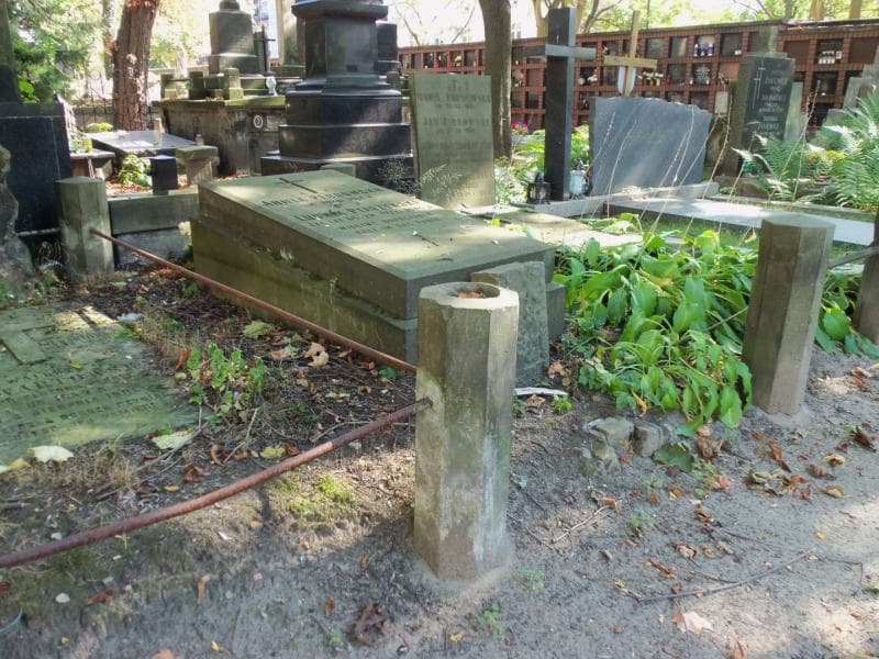 Zdjęcie grobu Ludwik Ptaszyński (1)