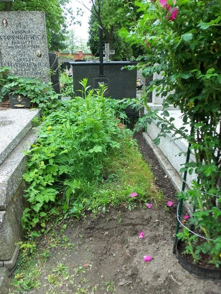 Zdjęcie grobu: Lech Bogusławski