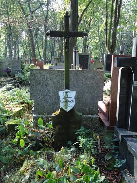 Zdjęcie grobu Antoni Adamowski (2)