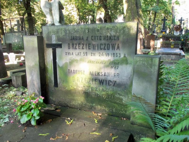 Zdjęcie grobu Janina Brzeziewiczowa (2)