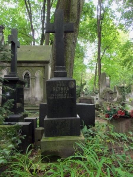 Zdjęcie grobu Piotr Rzymka (1)