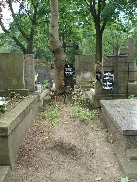 Zdjęcie grobu: Józefa Miernowska