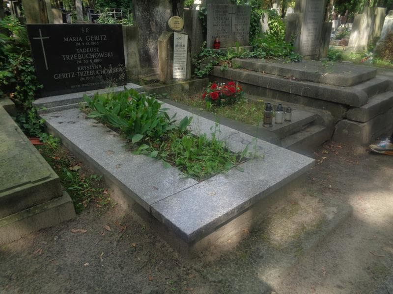 Zdjęcie grobu: Tadeusz Trzebuchowski