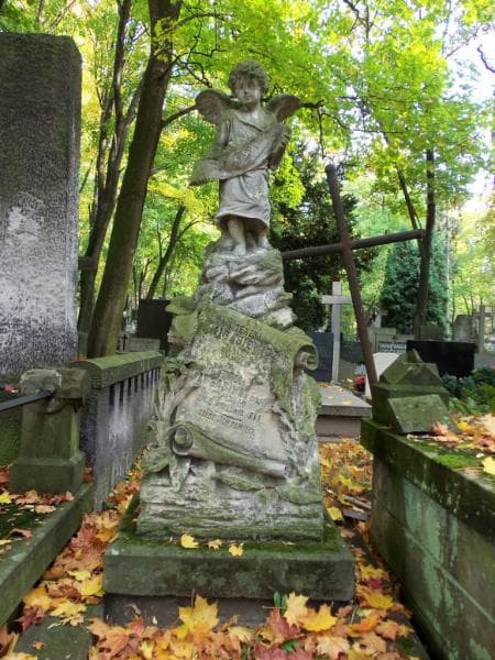 Zdjęcie grobu Hipolit Migasiewicz (1)