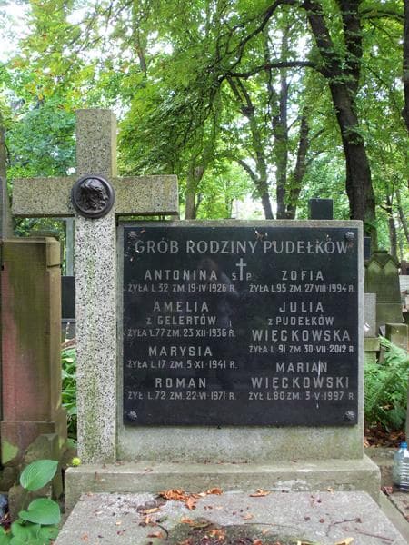 Zdjęcie grobu Antonina Pudełko (2)