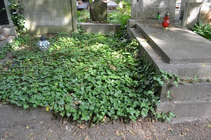 Zdjęcie grobu: Pole Grobowe
