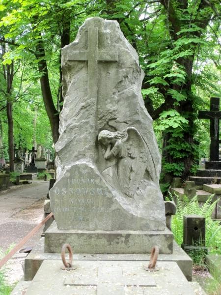 Zdjęcie grobu Władysław Walewski (2)