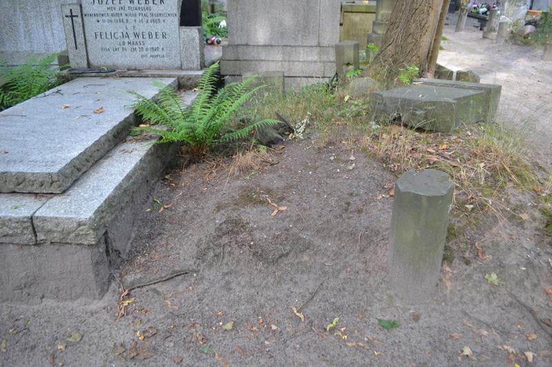 Zdjęcie grobu Władysław Petrajtys (1)