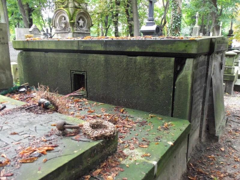 Zdjęcie grobu Alojzy Podbielski (2)