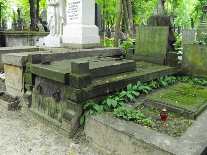 Zdjęcie grobu Adolf Rzepko (1)