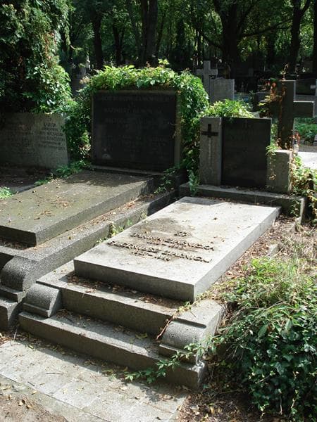 Zdjęcie grobu Władysław Napłoszek (1)