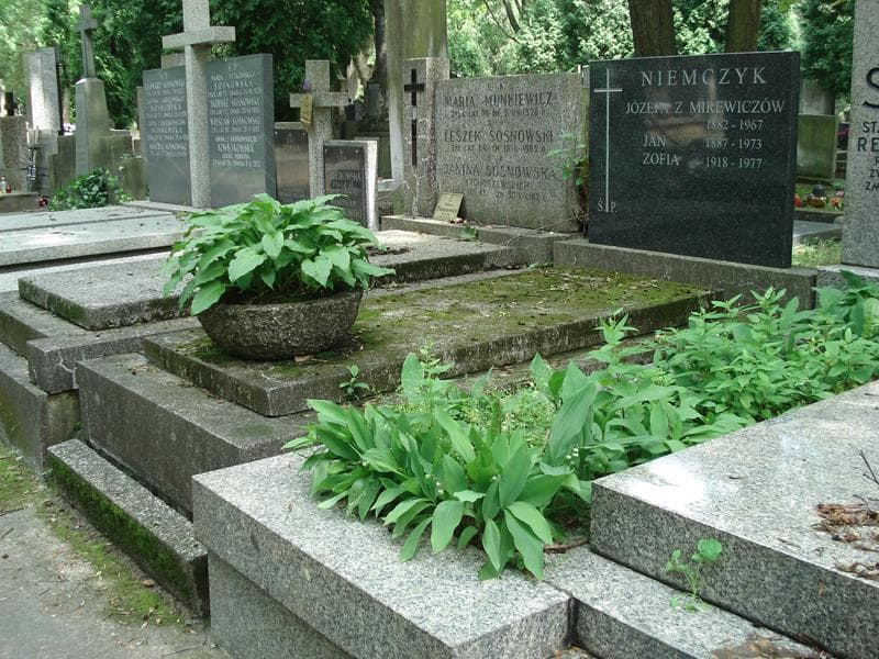Zdjęcie grobu Jan Niemczyk (1)