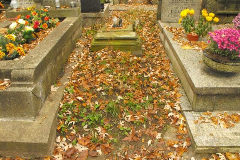 Zdjęcie grobu: Czesław Maruszewski