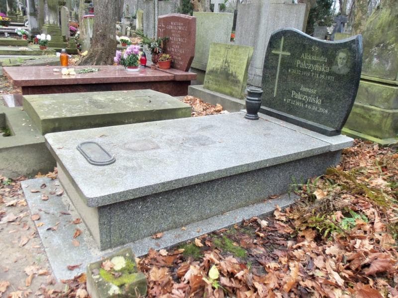 Zdjęcie grobu Aleksandra Pałczyńska (1)