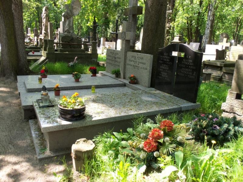 Zdjęcie grobu Zygmunt Wysocki (1)