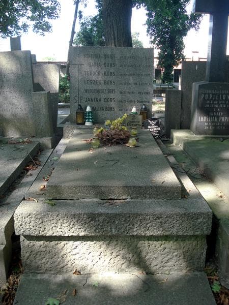Zdjęcie grobu Włodzimierz Bors (1)