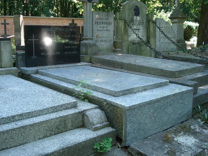 Zdjęcie grobu Władysław Ambrożewicz (1)