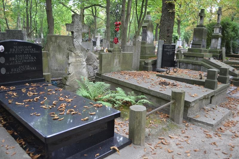 Zdjęcie grobu: Wincenty Orłowski