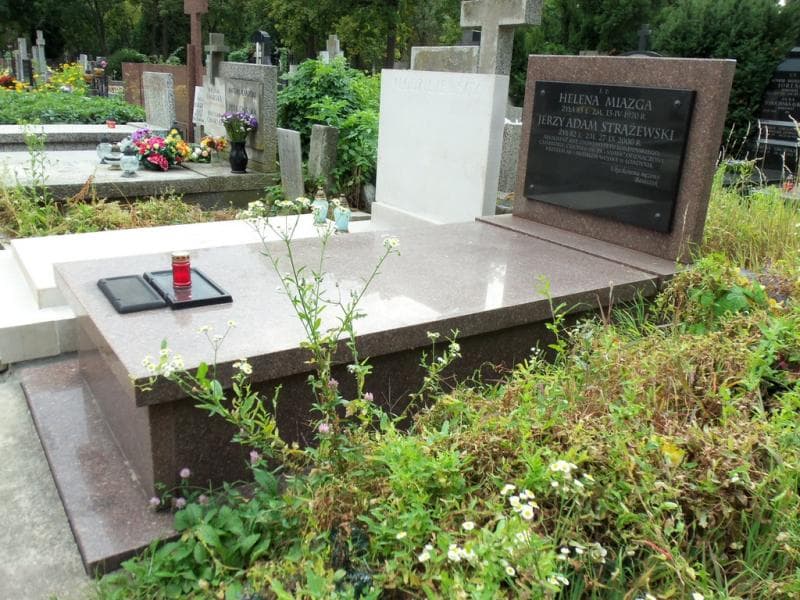 Zdjęcie grobu Jerzy Adam Strążewski (1)