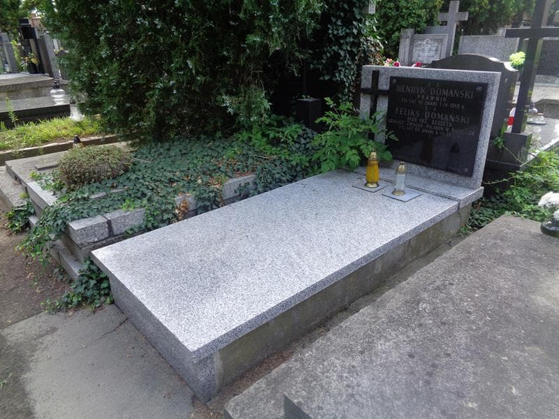 Zdjęcie grobu: Henryk Domański
