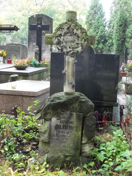 Zdjęcie grobu Antoni Dlouhy (2)