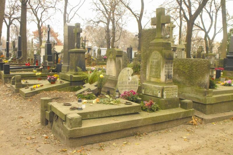 Zdjęcie grobu Stanisław Woyno (1)